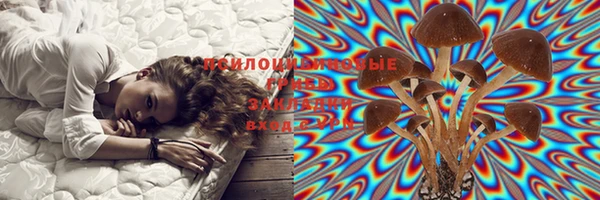 эйфоретик Белоозёрский