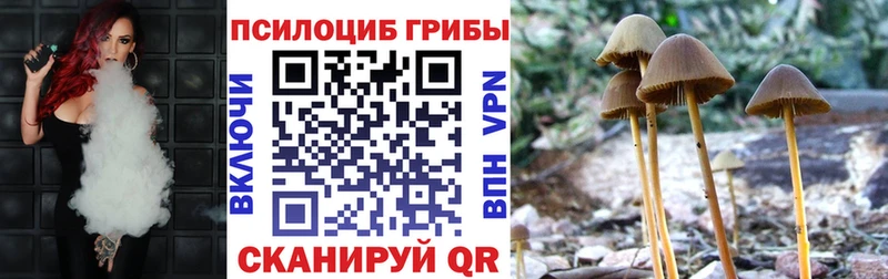 Галлюциногенные грибы прущие грибы закладки Плёс